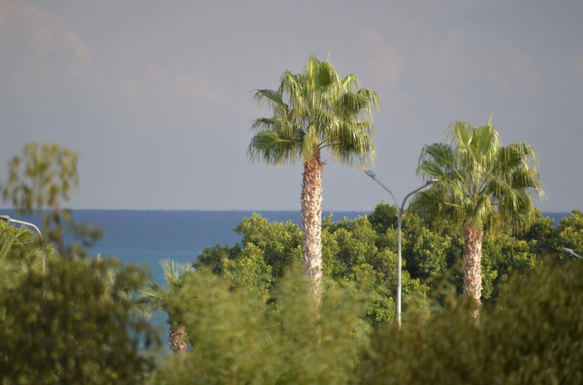 Modern Apartment Near Mckenzie Beach Larnaca Dış mekan fotoğraf